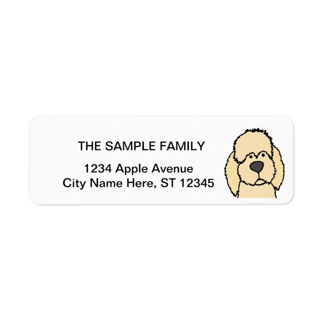 Cute Cream Labradoodle Puppy Dog (Front)