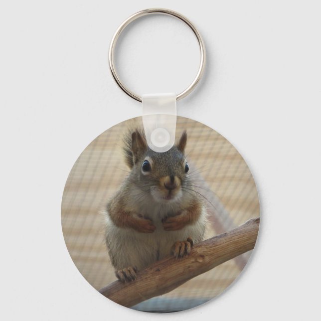 Cute Crouching Squirrel on Branch Keychain (Front)
