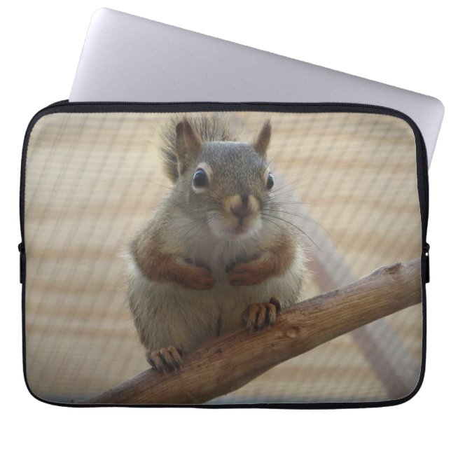 Cute Crouching Squirrel on Branch Laptop Sleeve (Front)