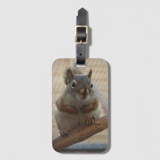 Cute Crouching Squirrel on Branch Luggage Tag (Front Vertical)