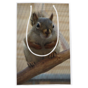 Cute Crouching Squirrel on Branch Medium Gift Bag