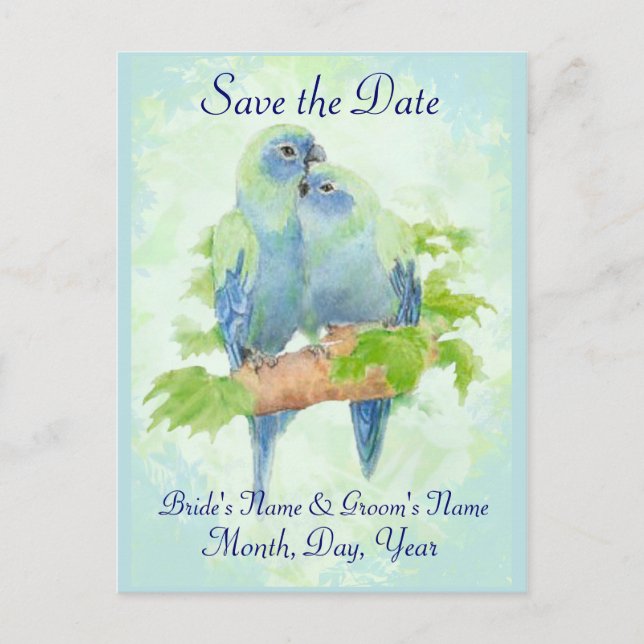 Cute Cuddling Tropical Parrot Bird Wedding Couple Announcement Postcard (Front)