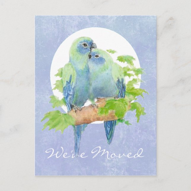 Cute Cuddling Tropical Parrots   Address New Home Announcement Postcard (Front)