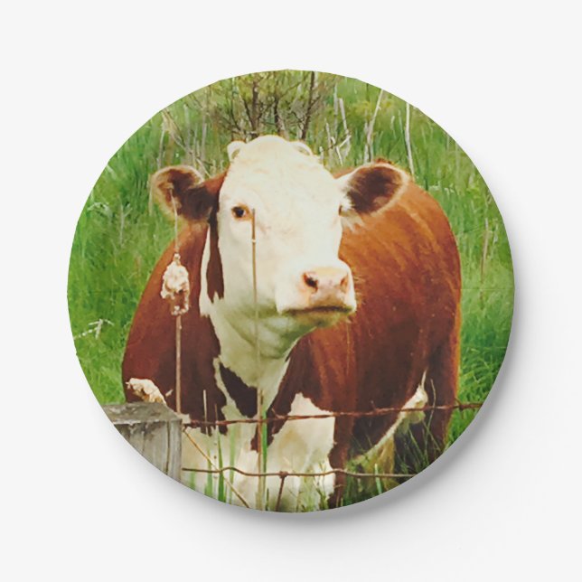 Cute Cuddly Cow Paper Plate (Front)