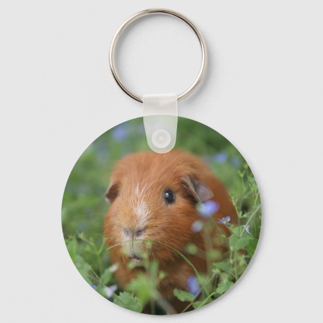 Cute cuddly ginger guinea pig outside on grass keychain (Front)