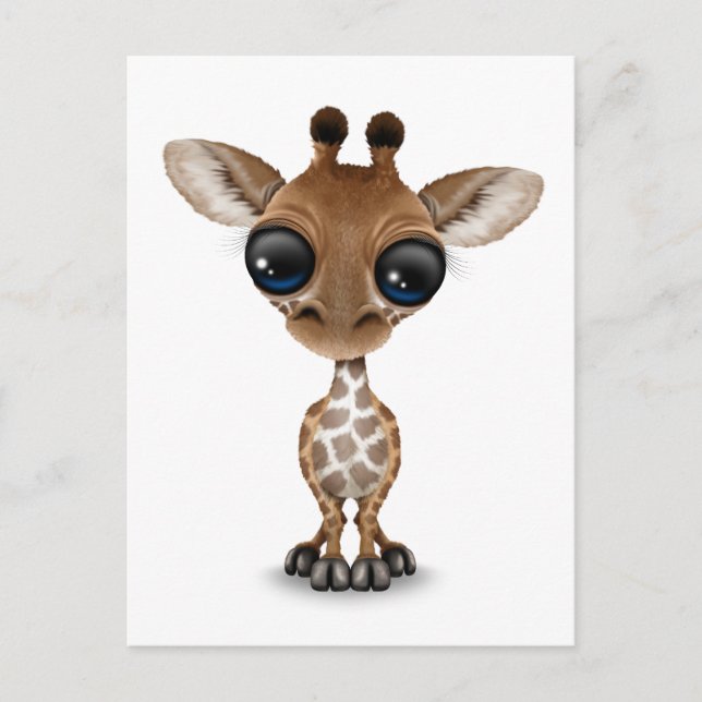 Cute Curious Baby Giraffe Postcard (Front)