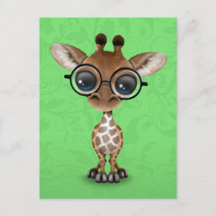 Cute Curious Baby Giraffe Wearing Glasses on Green Postcard