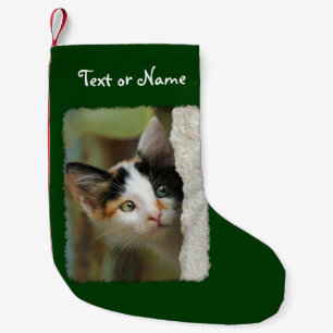 Cute Curious Cat Kitten Photo - Personalized Santa Small Christmas Stocking