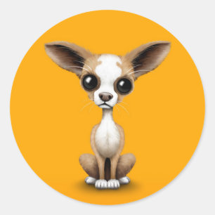 Cute Curious Chihuahua with Large Ears on Yellow Classic Round Sticker
