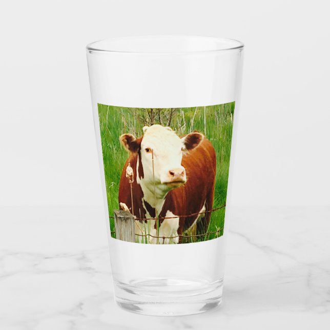 Cute Curious Cow 4Clyde Glass (Front)