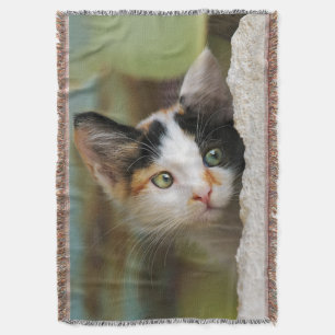 Cute Curious Kitten Looking with Prying Eyes - Throw Blanket