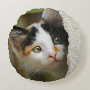 Cute Curious Kitten Prying Eyes, smooth Round Pillow