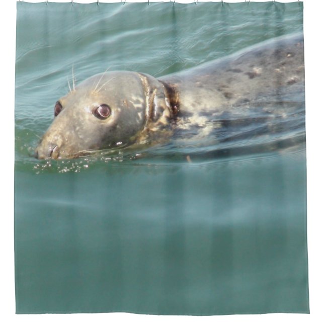 Cute Curious Seal Looking at you  Shower Curtain (Front)