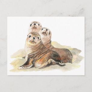 Cute Curious Seals, Watercolor Animals Postcard