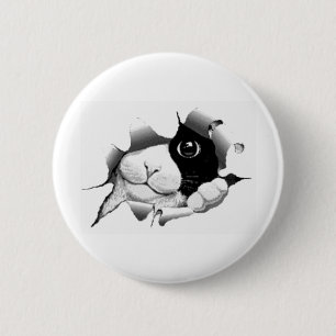 Cute curious sneaky cat kitten graphic 2 inch round button