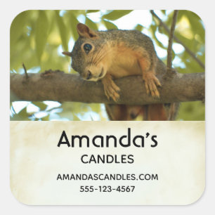 Cute & Curious Squirrel Nature Photo - Business Square Sticker