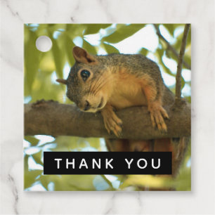 Cute & Curious Squirrel Nature Photo - Thank You Favour Tags