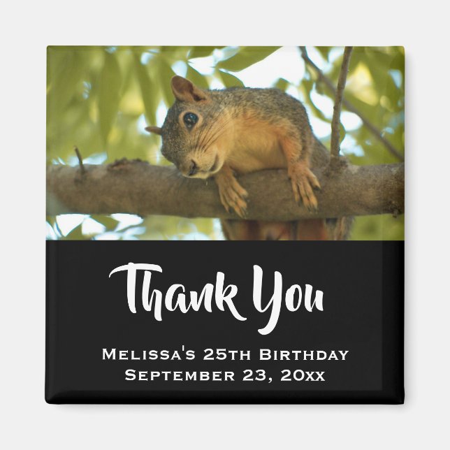 Cute & Curious Squirrel Nature Photo - Thank You Magnet (Front)