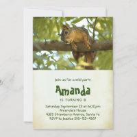 Cute Curious Squirrel Nature Photography Birthday