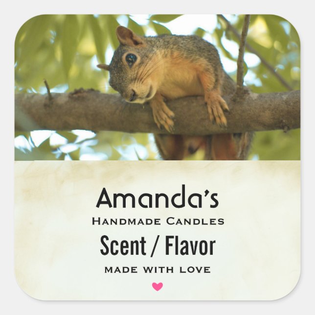 Cute & Curious Squirrel Nature Photography Candle Square Sticker (Front)