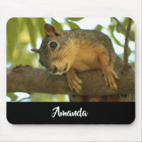 Cute & Curious Squirrel Nature Photography