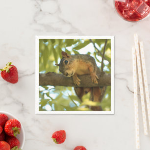 Cute & Curious Squirrel Nature Photography Napkin