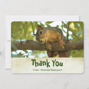 Cute Curious Squirrel Nature Photography Thank You Card