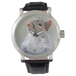 Cute Curious Squirrel Profile Photo Watch