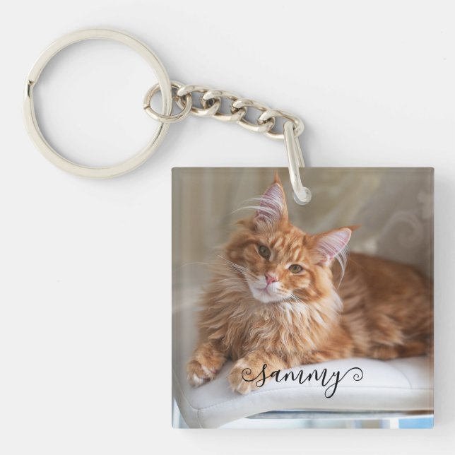 Cute Curly Nom Cat Photo (Devant)