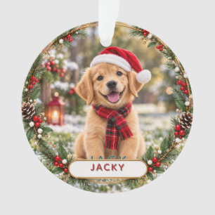 Cute Custom Dog & Cat Pet Christmas Personalized Ornament