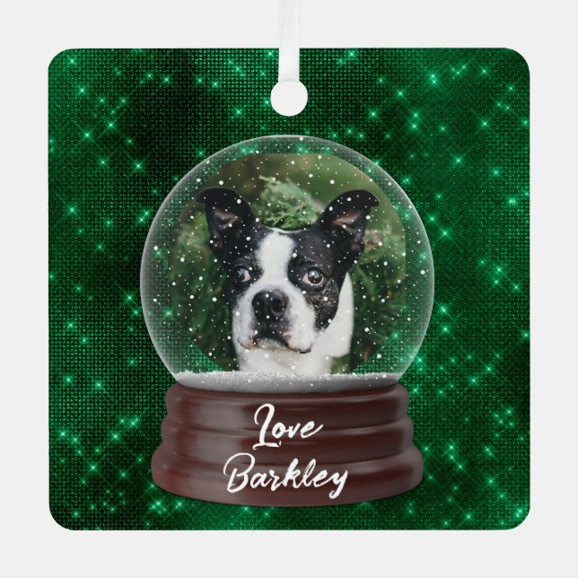 Cute Custom Pet Snow Globe  Metal Ornament (Front)