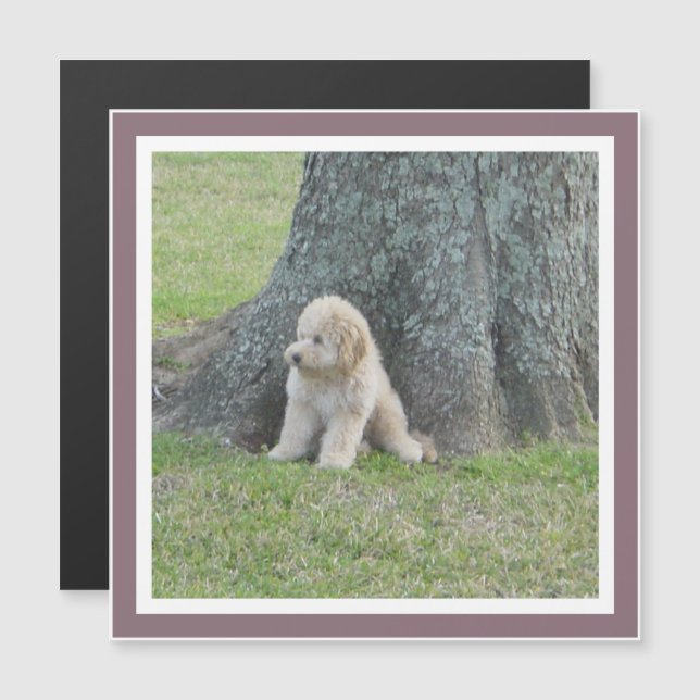 Cute Custom Photo Square Template Purple Magnet (Front/Back)