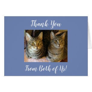 Cute Customizable Tabby Cats Thank You Kitties