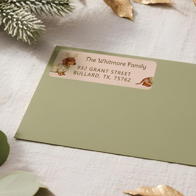 Cute Dachshund Dog Christmas Chequered Sweater (Cute Dachshund Dog Christmas Checkered Sweater Label)