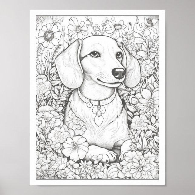 Cute Dachshund Dog Colouring Poster (Front)