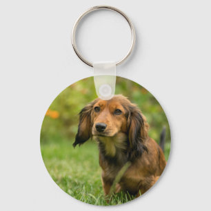 Cute Dachshund dog Keychain