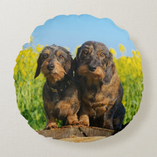 Cute Dachshund Dogs Dackel Portrait Photo - smooth Round Pillow