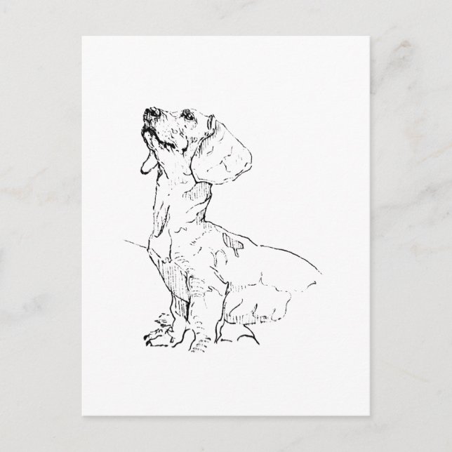 Cute Dachshund Drawing, Dog Parent Postcard (Front)