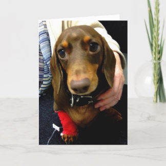 Cute Dachshund get well soon card