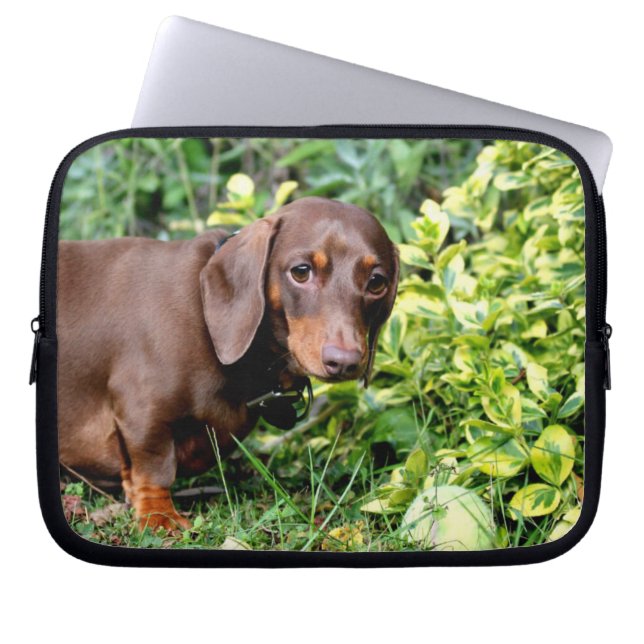 cute dachshund laptop case (Front)