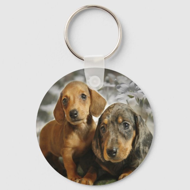 Cute Dachshund Puppies (Brown/Black) Keychain (Front)