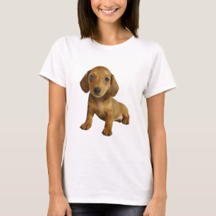 Cute Dachshund Puppy (Cream Brown) Sitting T-Shirt
