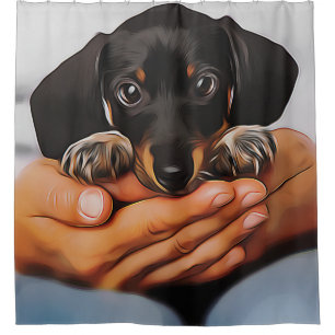 Cute Dachshund Puppy Lying On Human Knees Xmas