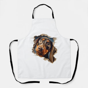 Cute dachshund puppy peeking in apron