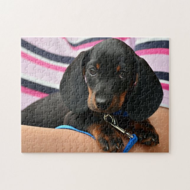 Cute Dachshund Puppy Photo Jigsaw Puzzle (Horizontal)