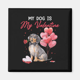 Cute Dachshund Puppy Valentine Owner My Dog Is My  Magnet