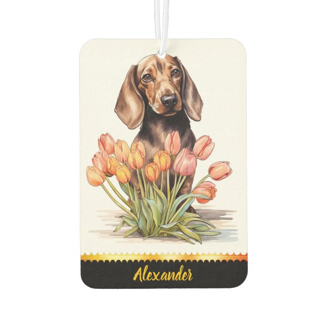 Cute Dachshund with tulips bringing joy indoors Air Freshener (Back)