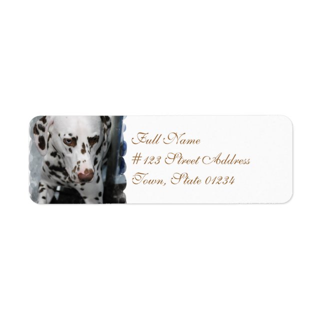 Cute Dalmatian Address Labels (Front)