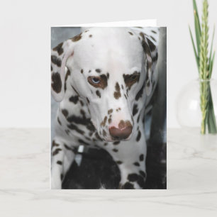 Cute Dalmatian Greeting Cards