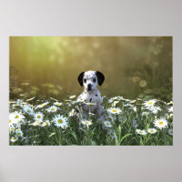 Cute Dalmatian Puppy in Daisies